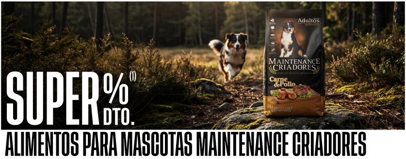 descuento maintenance